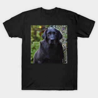 Longing Eyes T-Shirt